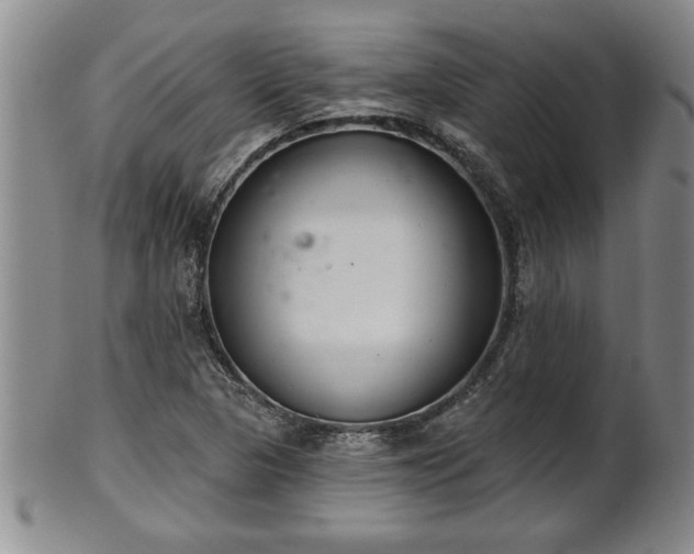 X0000102361313200808081121