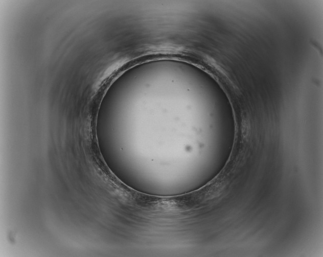 X0000102361315200808081121