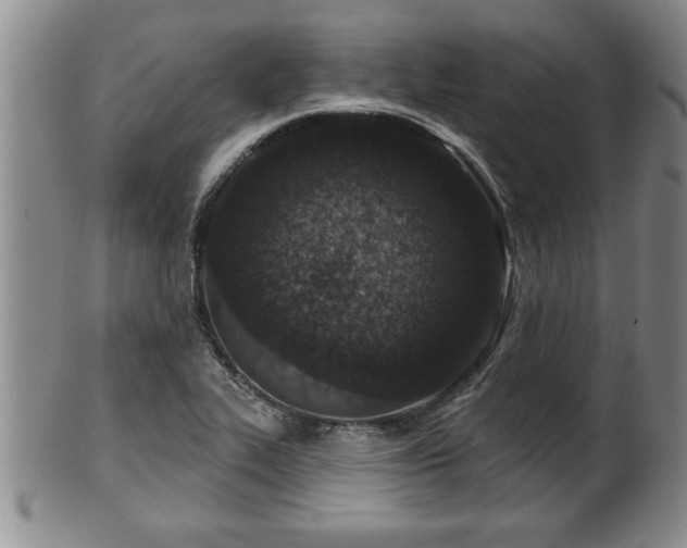 X0000102361319200808081122