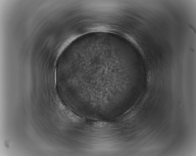 X0000102361323200808081122