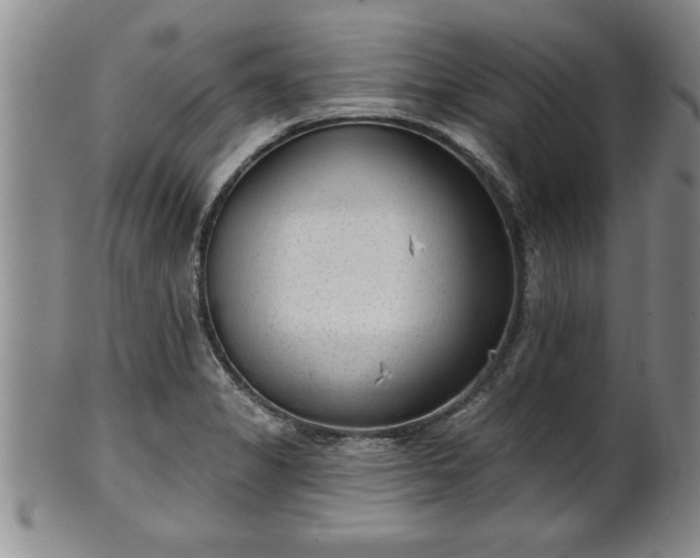 X0000102361325200808081122
