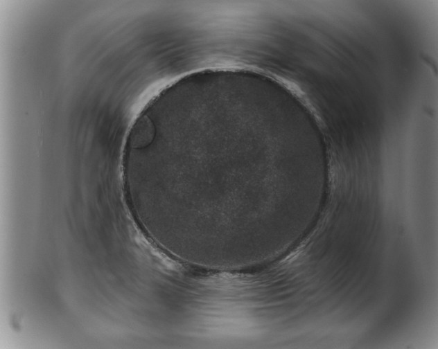X0000102361327200808081122