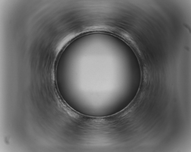 X0000102361328200808081122