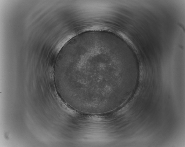 X0000102361329200808081122