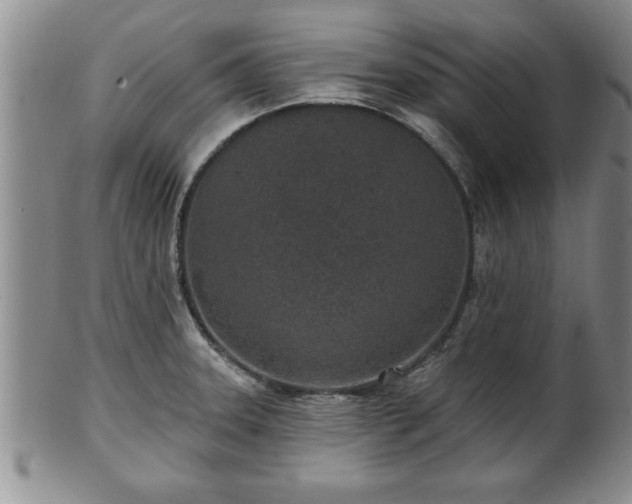 X0000102361331200808081122