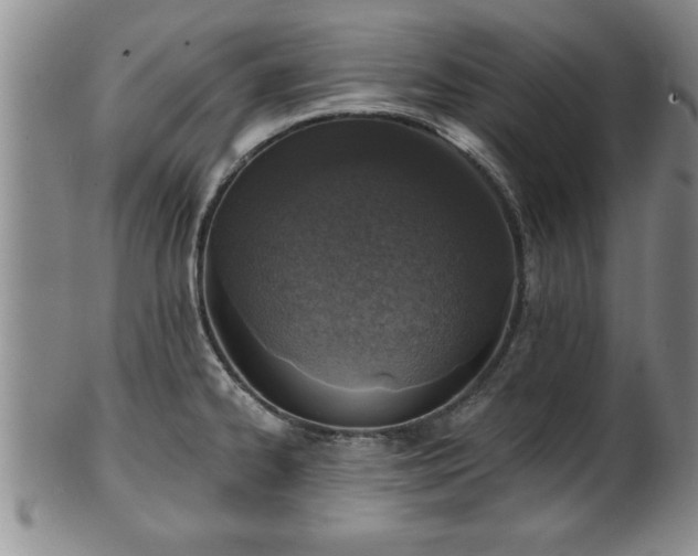 X0000102361334200808081122