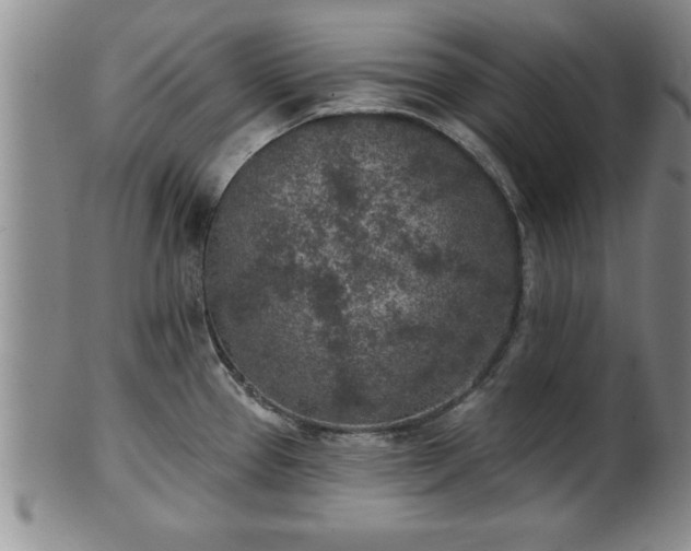 X0000102361337200808081122