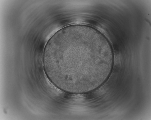 X0000102361338200808081122
