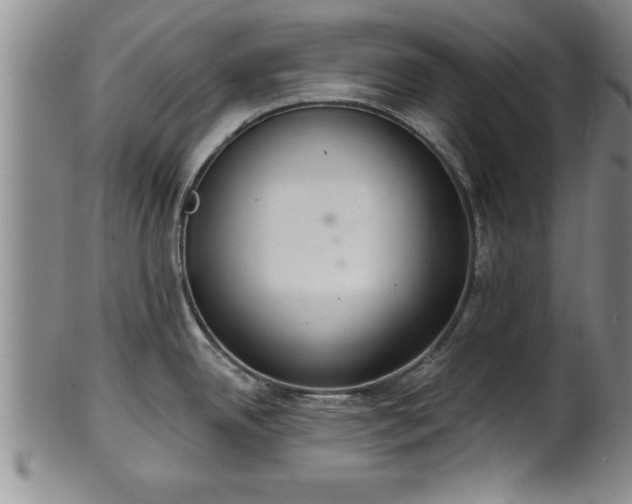 X0000102361342200808081122