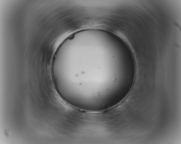 X0000102361344200808081122