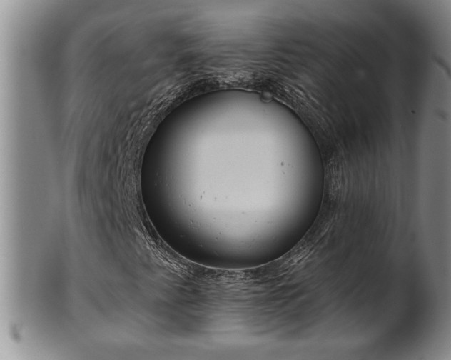 X0000102361345200808081121