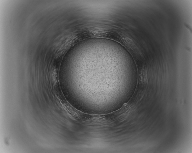 X0000102361346200808081121