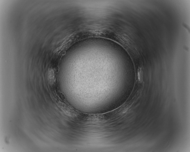 X0000102361347200808081121