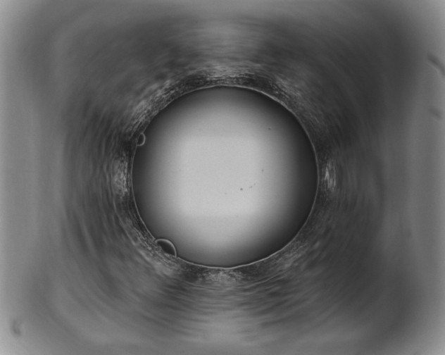 X0000102361348200808081121