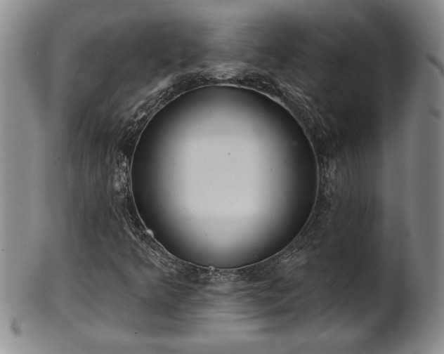 X0000102361349200808081121