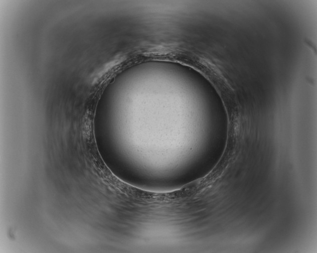 X0000102361350200808081121