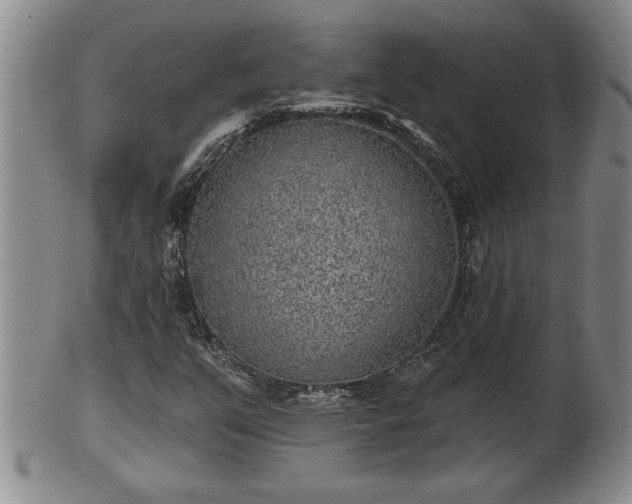 X0000102361351200808081121