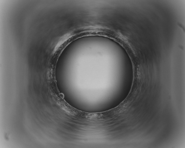 X0000102361352200808081121