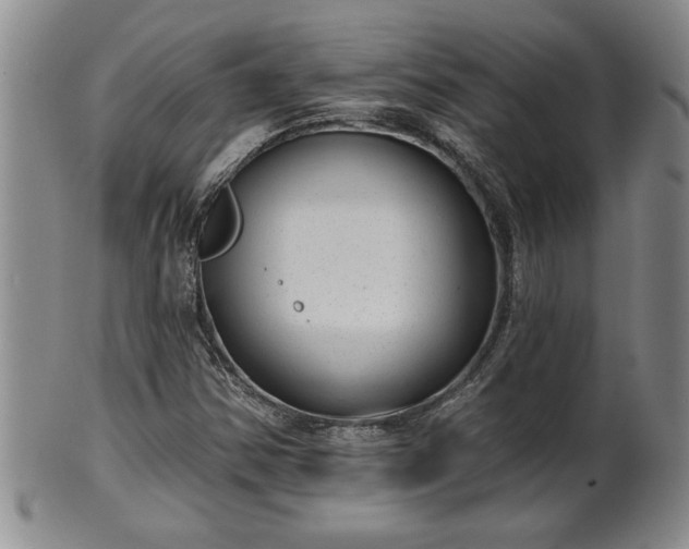 X0000102361354200808081121