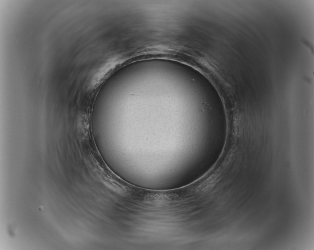 X0000102361355200808081121