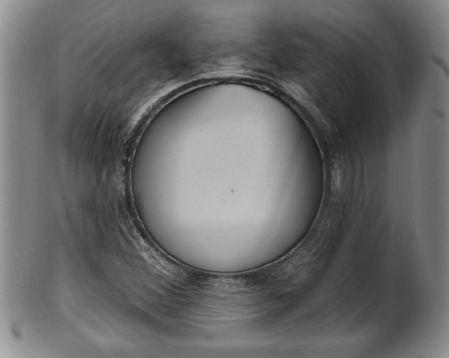 X0000102361356200808081121