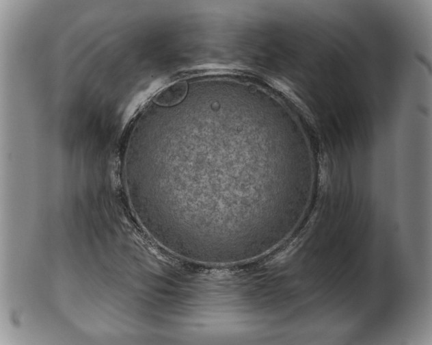 X0000102361357200808081121