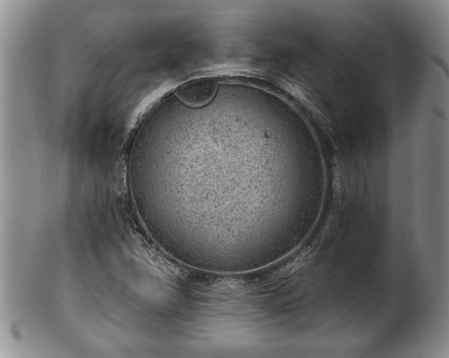 X0000102361358200808081121