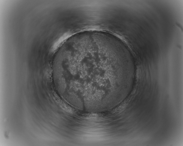 X0000102361359200808081121
