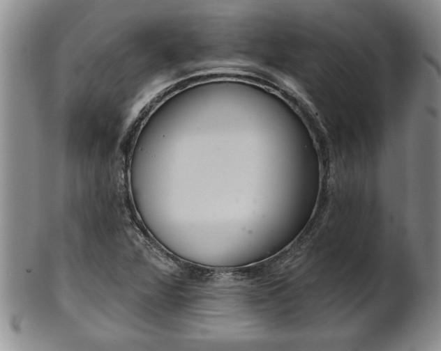 X0000102361360200808081121