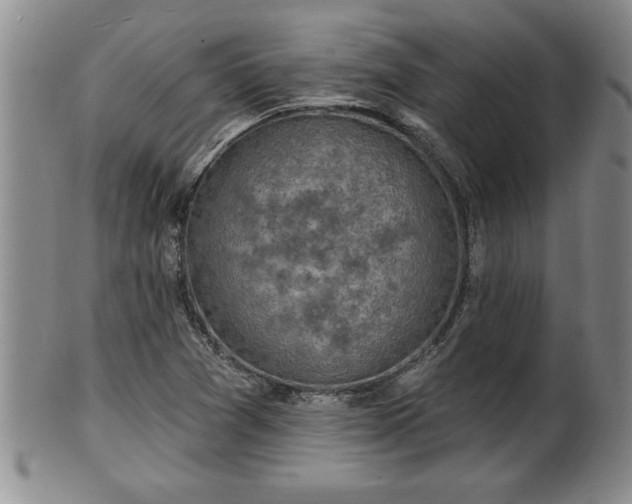 X0000102361361200808081121