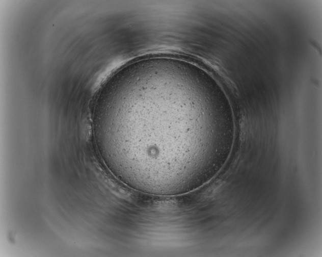 X0000102361363200808081121