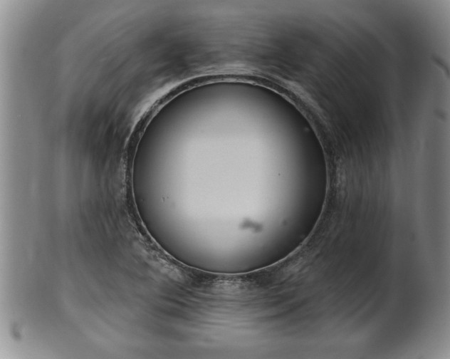 X0000102361364200808081121