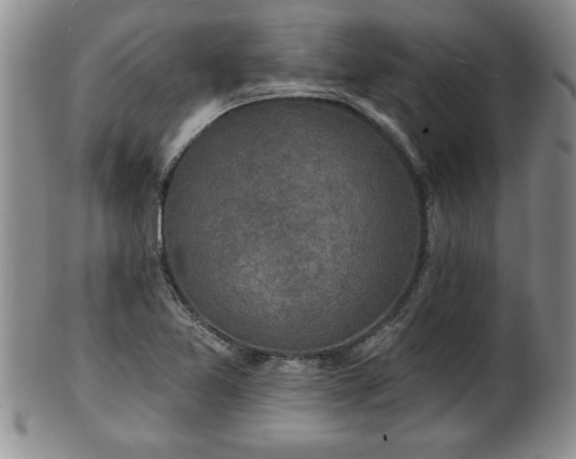 X0000102361365200808081121