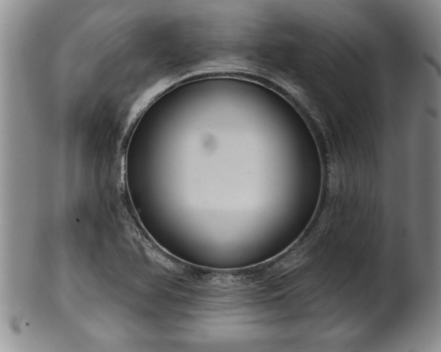X0000102361366200808081121