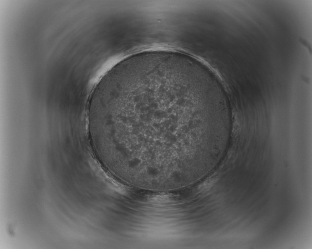 X0000102361367200808081121