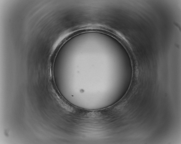 X0000102361368200808081121