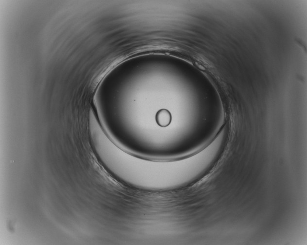 X0000102361369200808081121