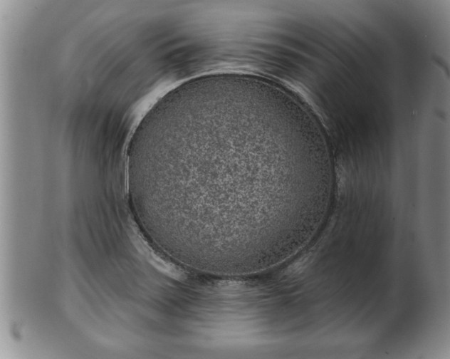 X0000102361371200808081121