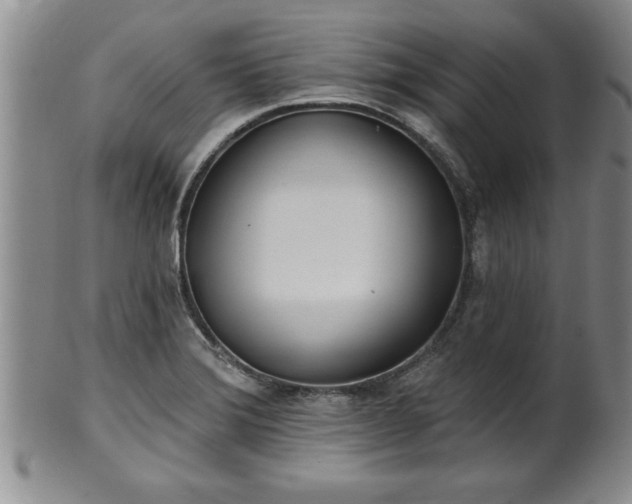 X0000102361372200808081121