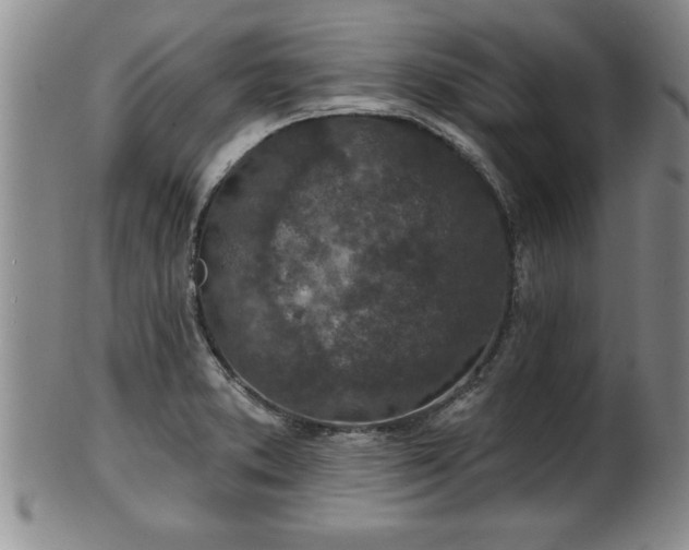 X0000102361373200808081121
