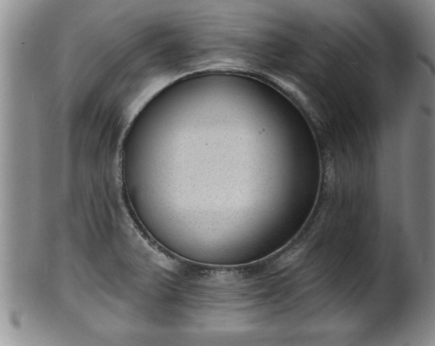 X0000102361375200808081121
