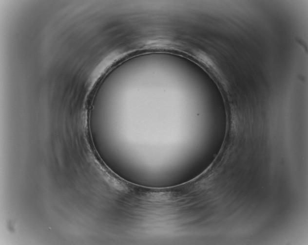 X0000102361376200808081121