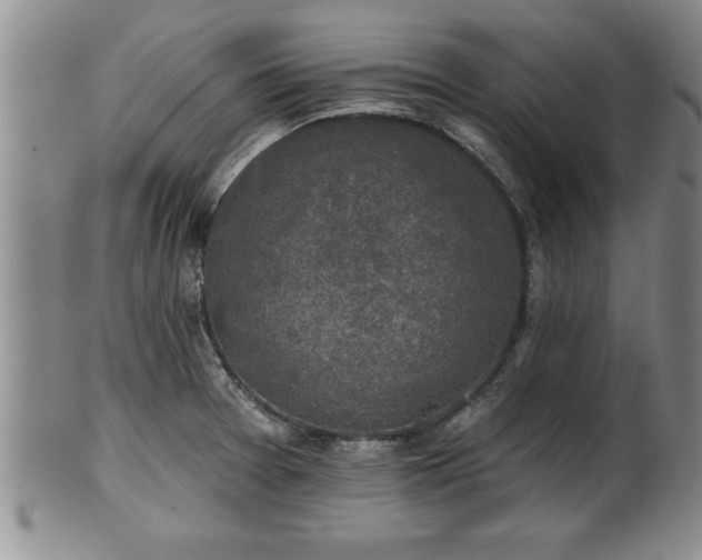 X0000102361377200808081121