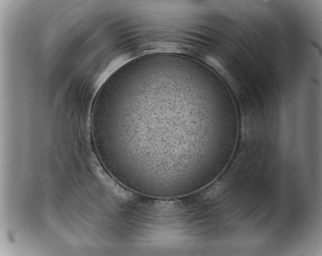 X0000102361378200808081121
