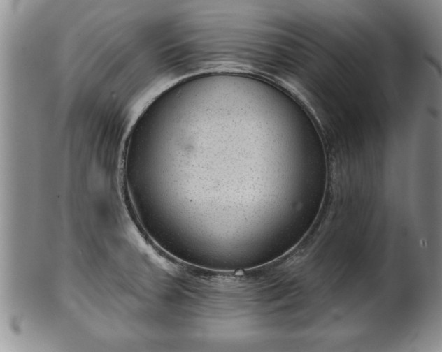 X0000102361379200808081121