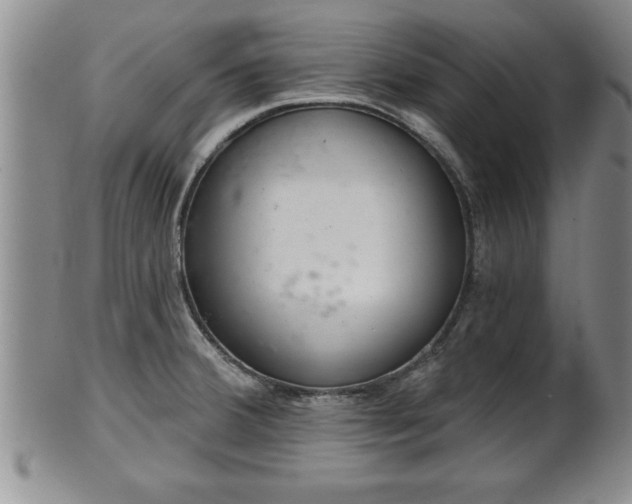 X0000102361380200808081121