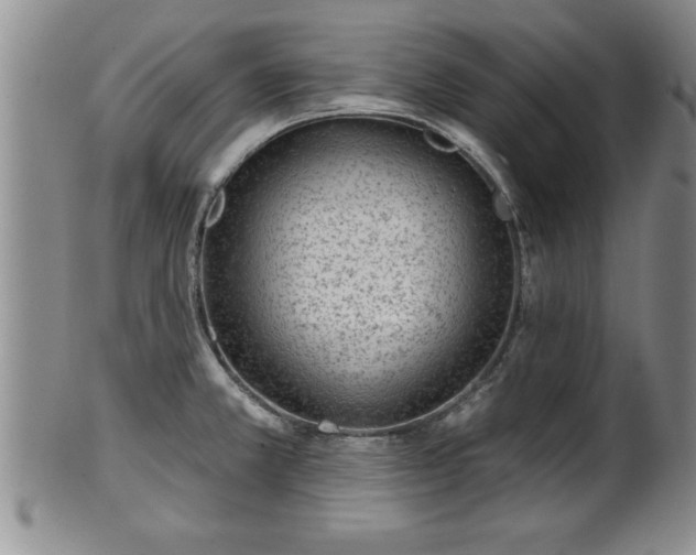 X0000102361381200808081121