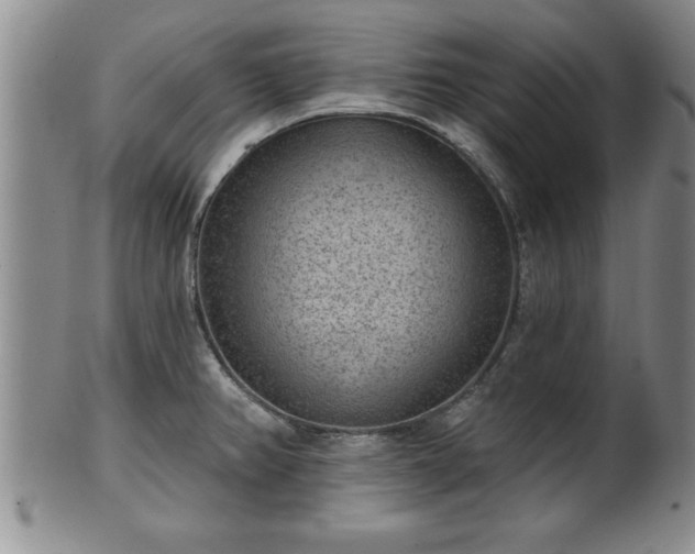 X0000102361382200808081121