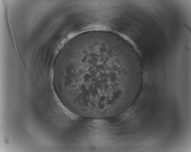 X0000102361383200808081121