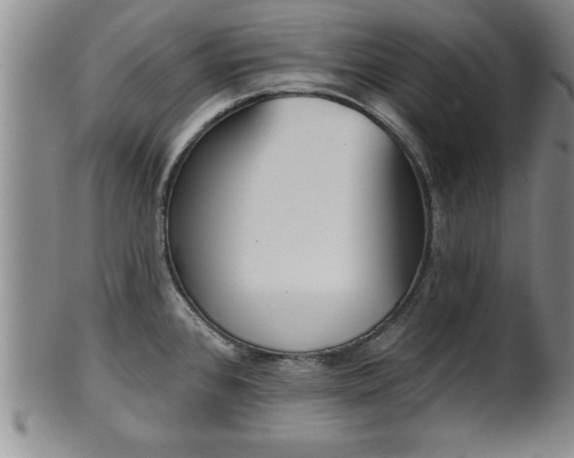 X0000102361384200808081121